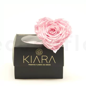 Preserved Heart-Shaped Rose XXL Pink