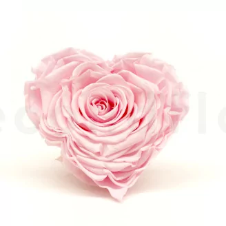Preserved Heart-Shaped Rose XXL Pink