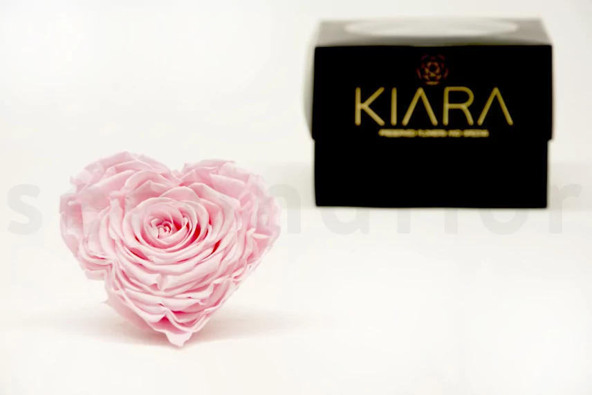 Preserved Heart-Shaped Rose XXL Pink