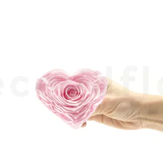 Preserved Heart-Shaped Rose XXL Pink
