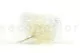 Preserved Mountain Fern White 13