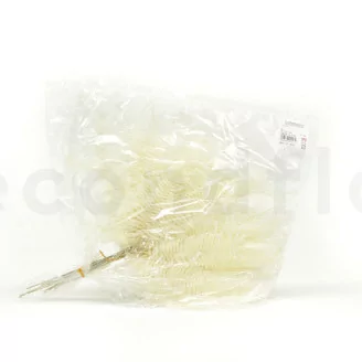 Preserved Mountain Fern White