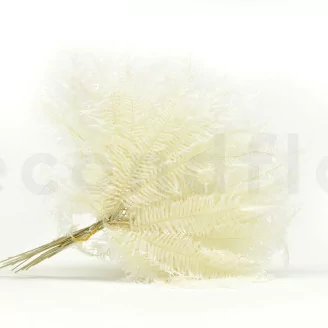 Preserved Mountain Fern White