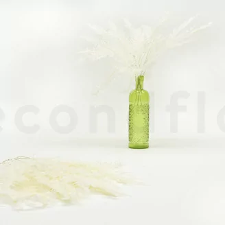 Preserved Mountain Fern White