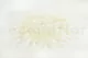 Preserved Mountain Fern White 7