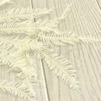 Preserved Mountain Fern White