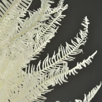 Preserved Mountain Fern White