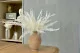 Preserved Mountain Fern White 1
