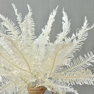 Preserved Mountain Fern White