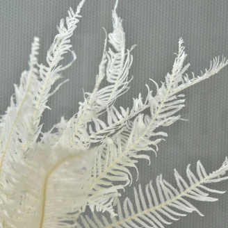 Preserved Mountain Fern White