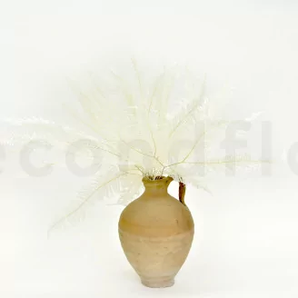 Preserved Mountain Fern White