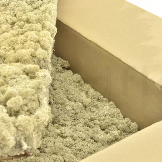Preserved Reindeer Moss Cream (Bulk Box)