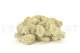Preserved Reindeer Moss Cream (Bulk Box) 3