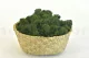 Preserved Reindeer Moss Forest Green (Bulk Box) 6