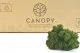 Preserved Reindeer Moss Forest Green (Bulk Box) 8
