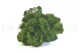 Preserved Reindeer Moss Forest Green (Bulk Box) 4