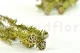 Preserved Tortum Female Green 10