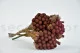 Preserved Brunia Albiflora Burgundy 5