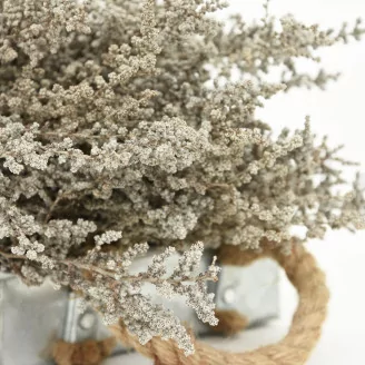 Preserved Stoebe Silver