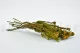 Preserved Tortum Female Autumnal 6