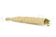 Preserved Bell Grass Female Green 3
