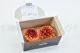 Preserved Dahlia Grace Orange (set of 2) 13