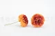 Preserved Dahlia Grace Orange (set of 2) 3
