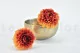 Preserved Dahlia Grace Orange (set of 2) 9
