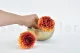 Preserved Dahlia Grace Orange (set of 2) 6
