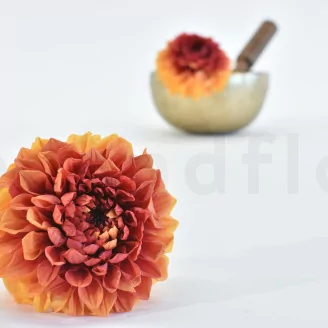 Preserved Dahlia Grace Orange (set of 2)