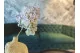 Preserved Peegee Hydrangea Oregano Purple 11