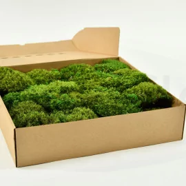 Preserved Flat Moss Bulk Box 2,5 kg Forest Green - buy in the online store  EtoileFlora