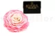 Preserved Rose XXL Tie-n-dye Pink 8