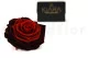 Preserved Rose XXL Tie-n-dye Red 8