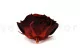 Preserved Rose XXL Tie-n-dye Red 3