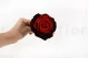 Preserved Rose XXL Tie-n-dye Red 5