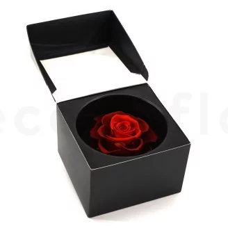 Preserved Mandala Rose XXL Tie-n-dye Red