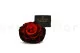 Preserved Mandala Rose XXL Tie-n-dye Red 7