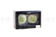 Preserved Dahlia Grace Green (set of 2) 13