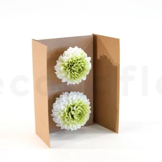 Preserved Dahlia Grace Green (set of 2)