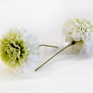 Preserved Dahlia Grace Green (set of 2)