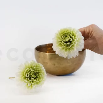 Preserved Dahlia Grace Green (set of 2)