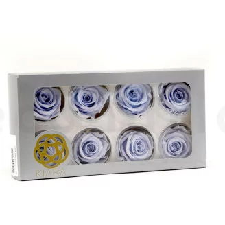 Preserved Rose L Cool Lavender (set of 8)