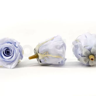 Preserved Rose L Cool Lavender (set of 8)