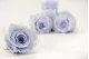Preserved Rose L Cool Lavender (set of 8) 1