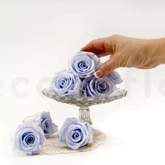 Preserved Rose L Cool Lavender (set of 8)