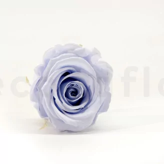 Preserved Rose L Cool Lavender (set of 8)