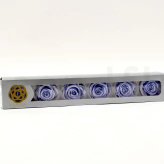 Preserved Rose XL Cool Lavender (set of 6)