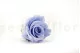 Preserved Rose XL Cool Lavender (set of 6) 5