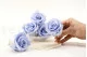 Preserved Rose XL Cool Lavender (set of 6) 4